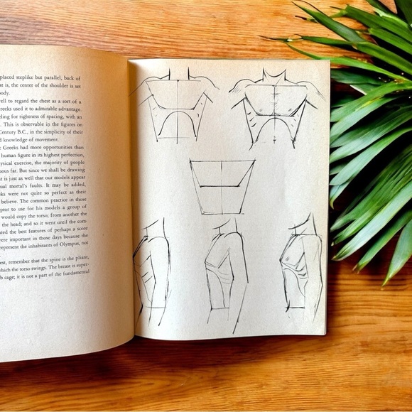 VINTAGE 1939 Anyone Can Draw! - Illustrated Art Instruction Book - Picture 6 of 9